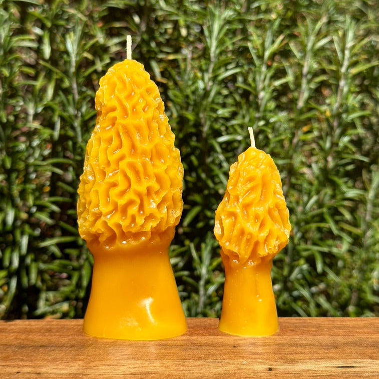 Beeswax Mini Morel Candle