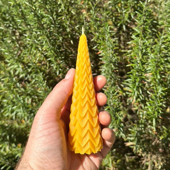 Beeswax Tree Candle