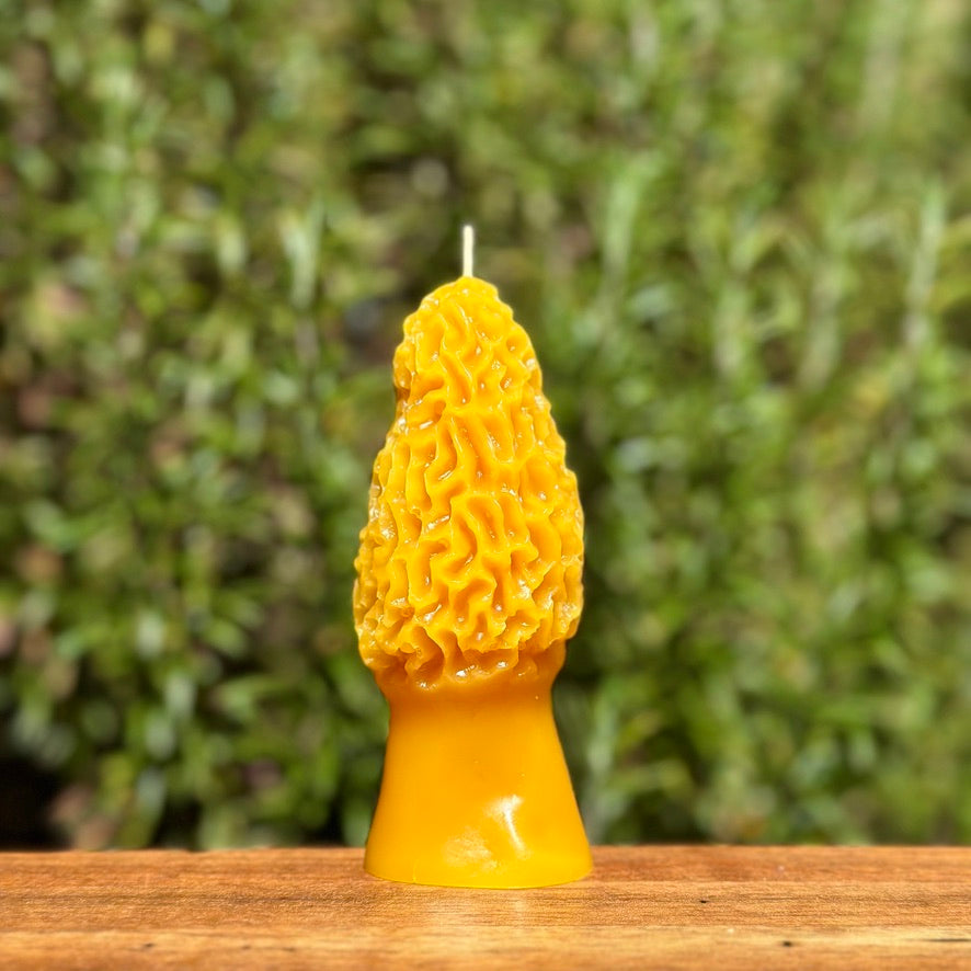 Beeswax Morel Mushroom Candle