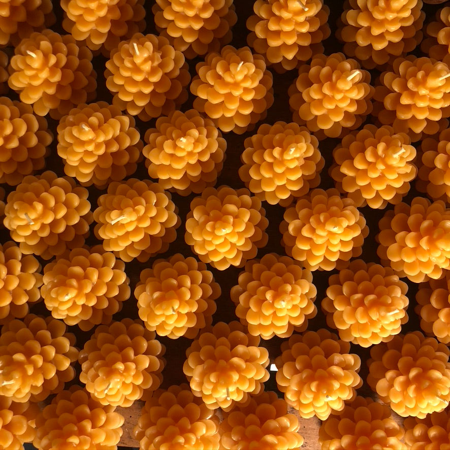 Beeswax Pinecone Candle