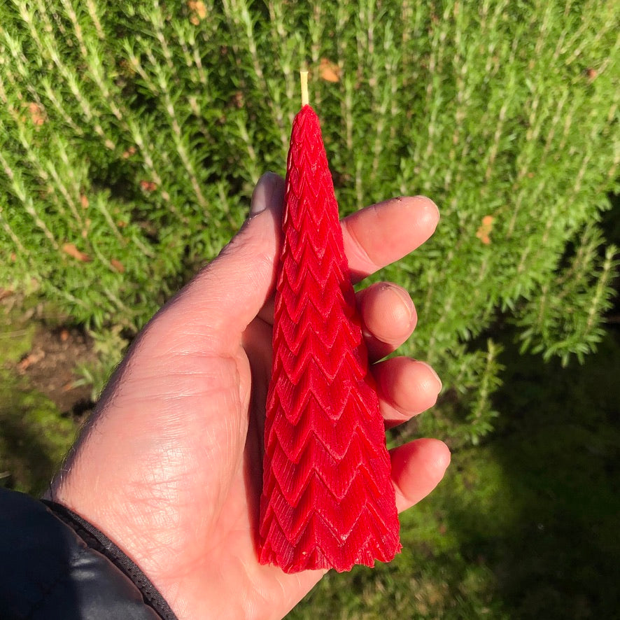 Beeswax Tree Candle