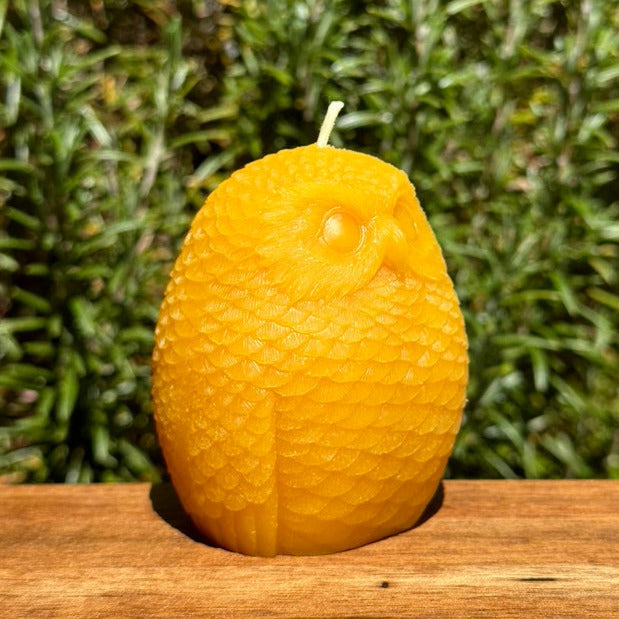 Beeswax Woodland Owl Candle