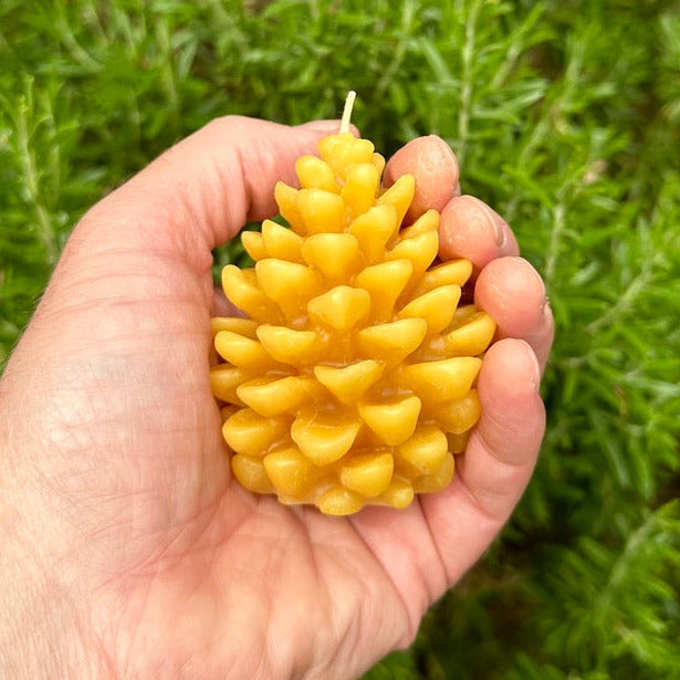 Beeswax Pinecone Candle