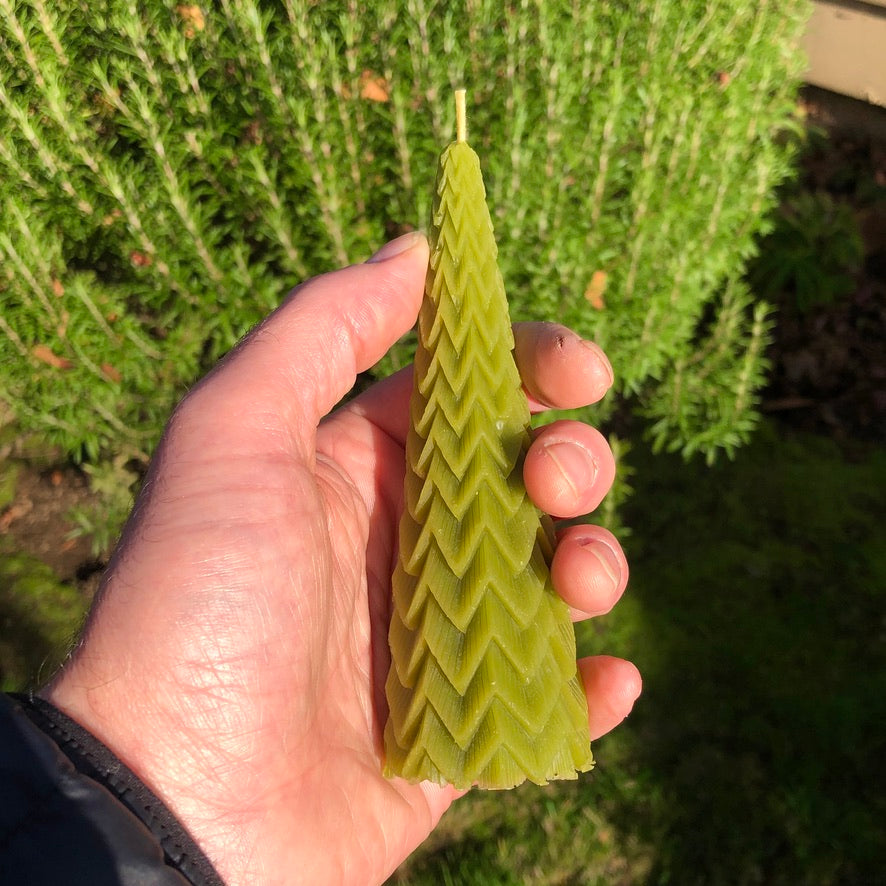Beeswax Tree Candle