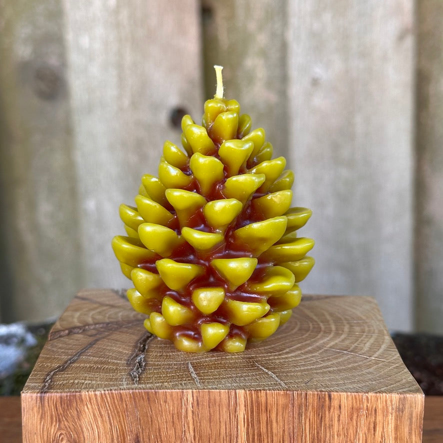 Two-Tone Pinecone Candle