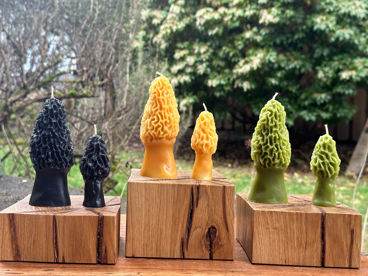 Beeswax Morel Mushroom Candle