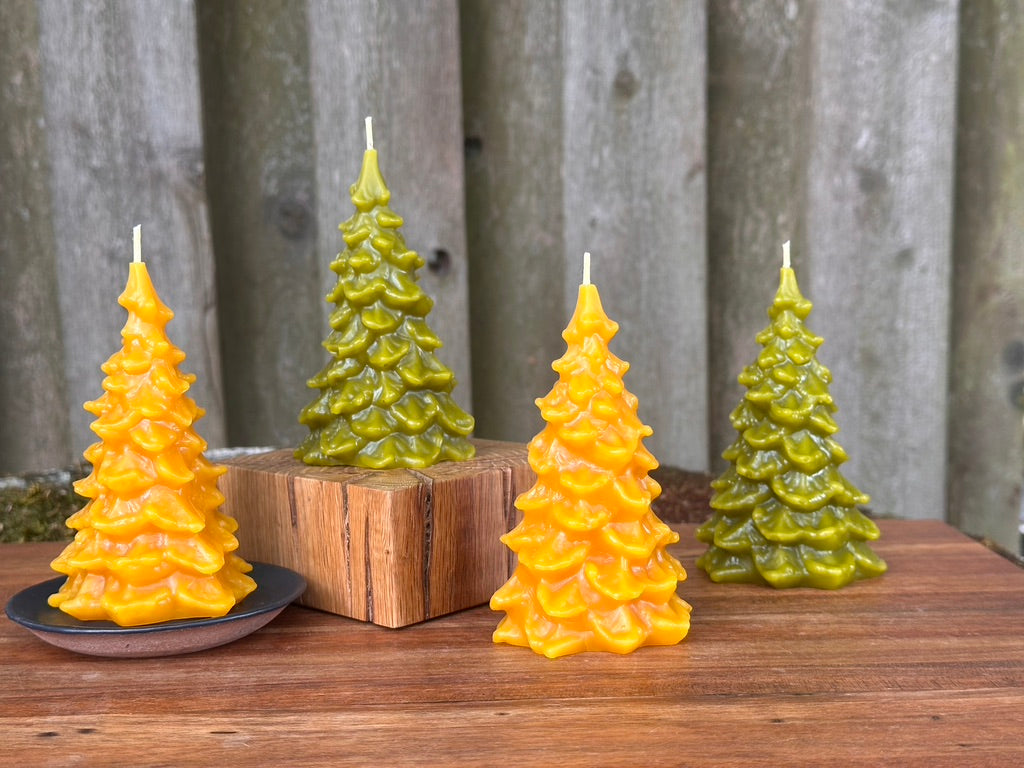 Beeswax Fir Tree Candle