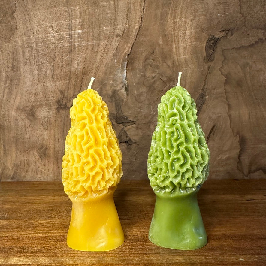Beeswax Morel Mushroom Candle