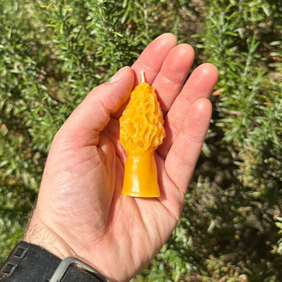 Beeswax Mini Morel Candle