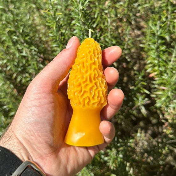 Beeswax Morel Mushroom Candle