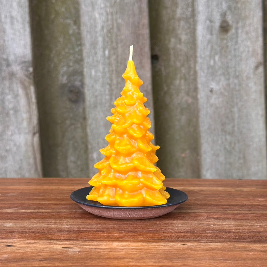Beeswax Fir Tree Candle