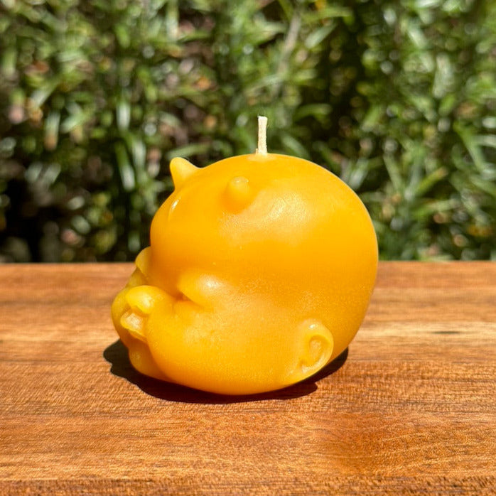Beeswax Devil Baby Head