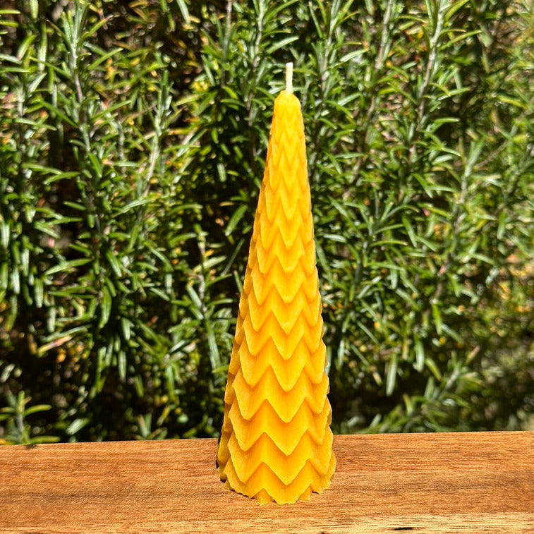 Beeswax Tree Candle