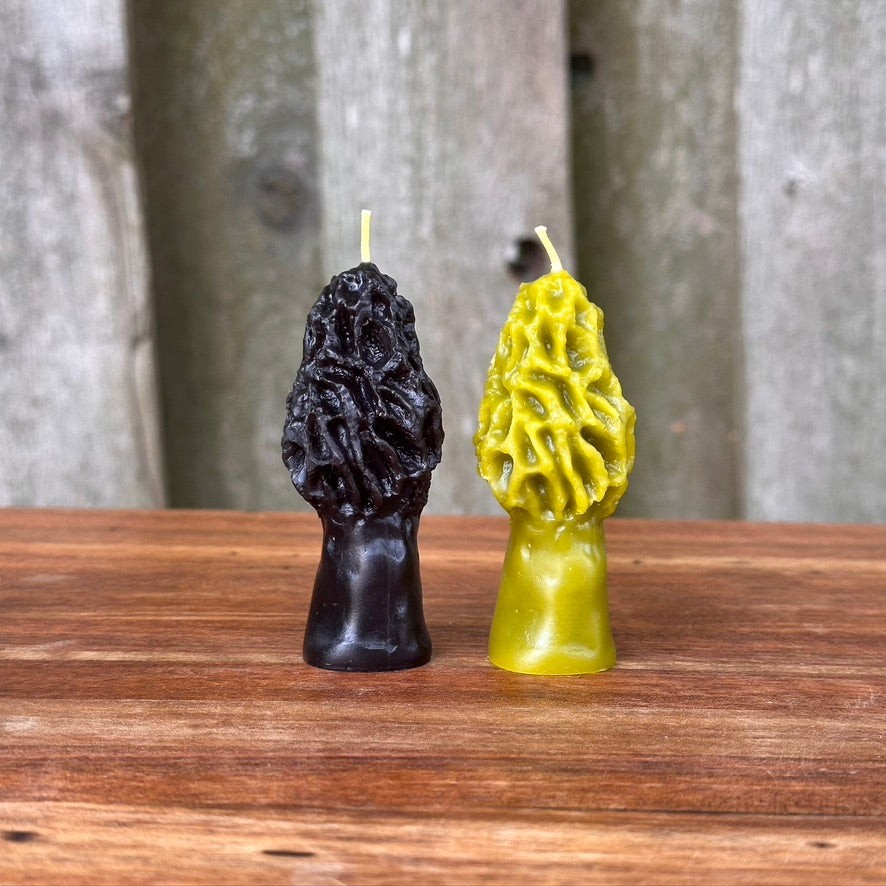 Beeswax Mini Morel Candle