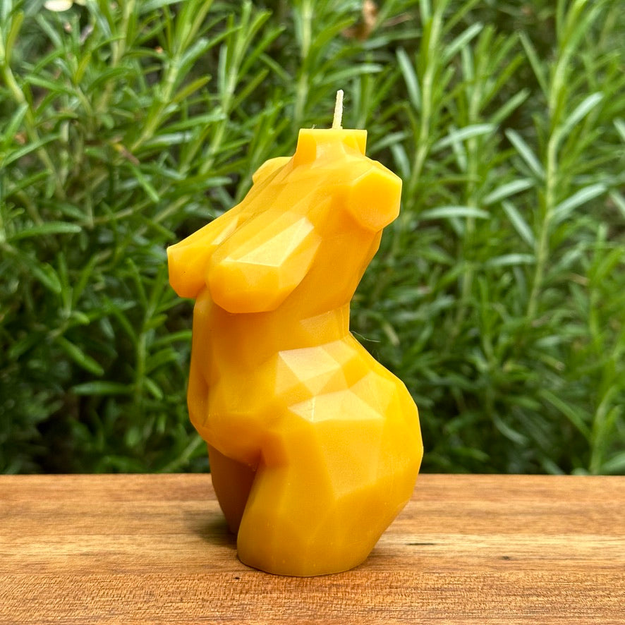 Beedswax Geo Torso