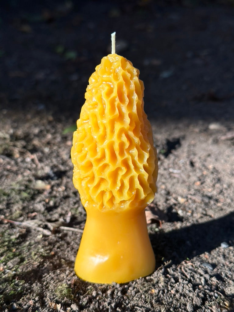 Beeswax Morel Mushroom Candle