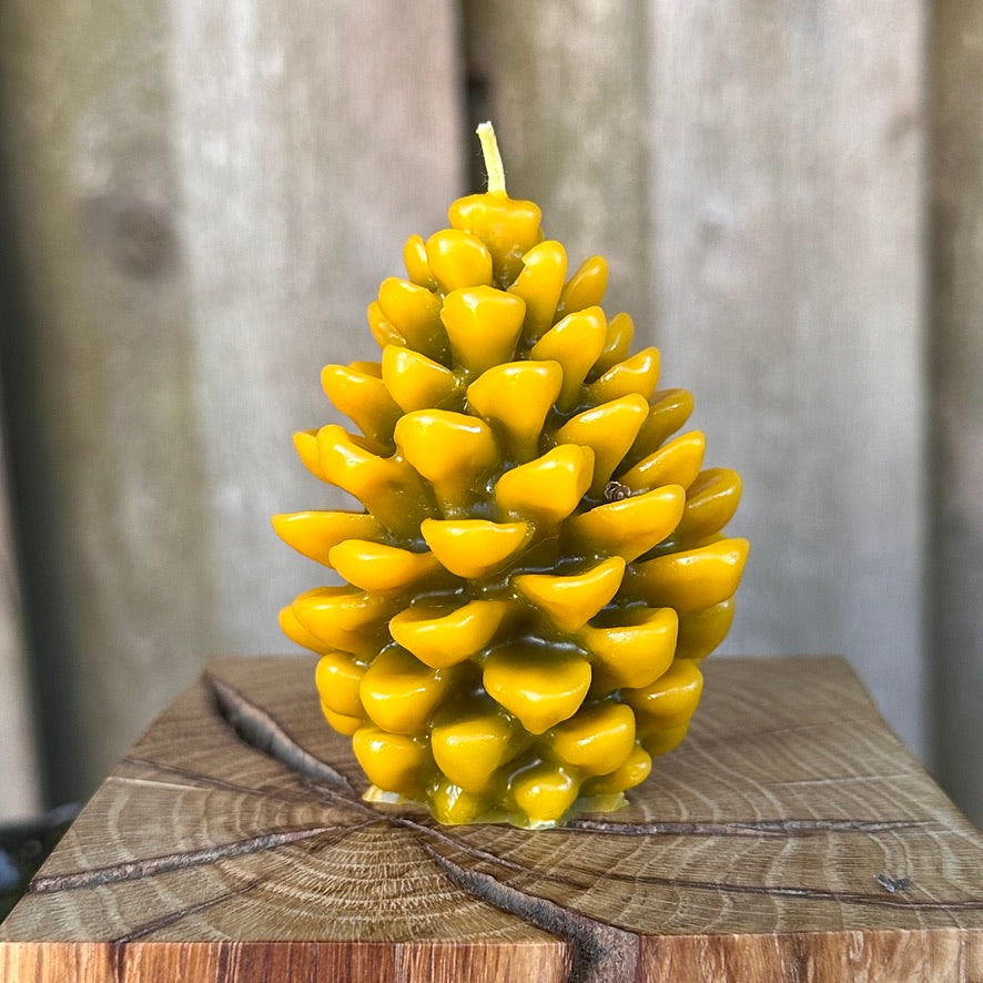 Two-Tone Pinecone Candle