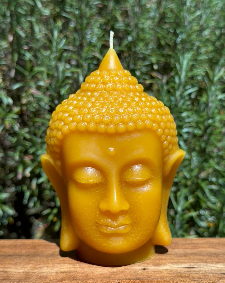 Buddha Head