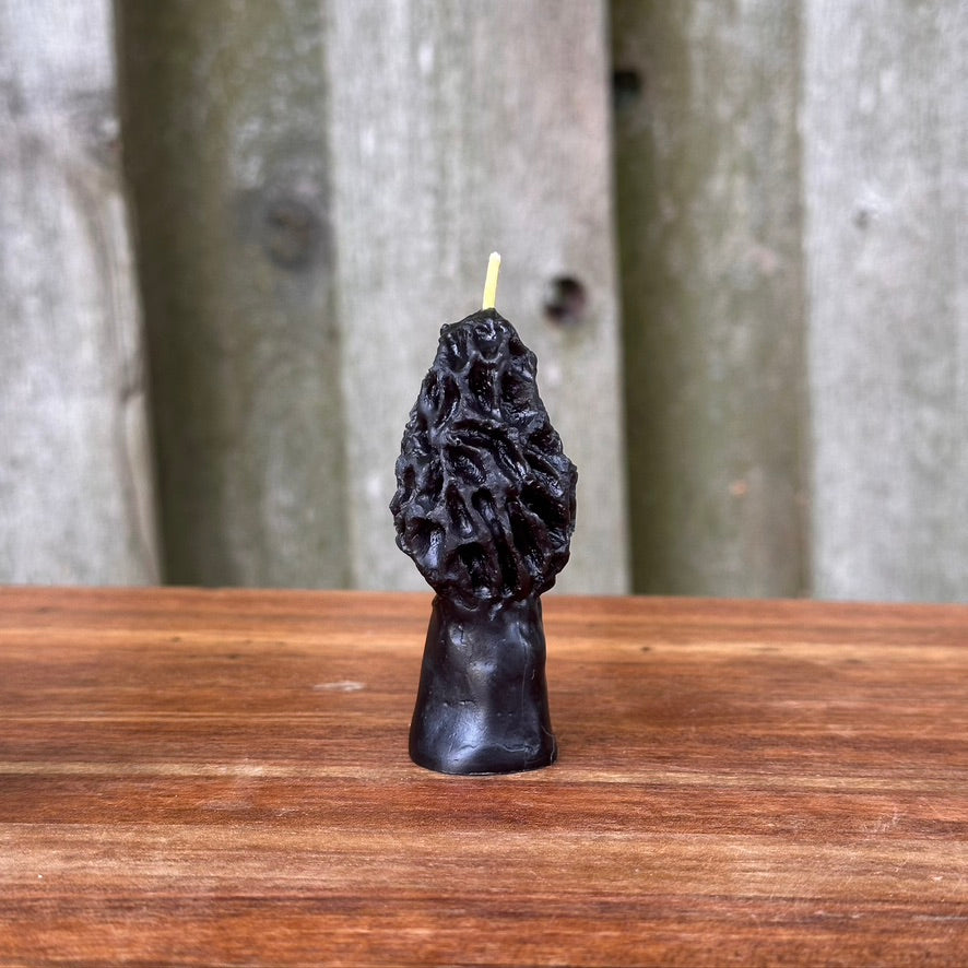 Beeswax Mini Morel Candle