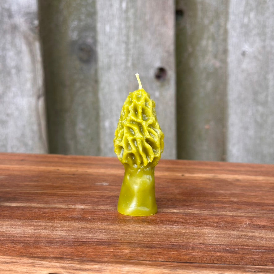 Beeswax Mini Morel Candle