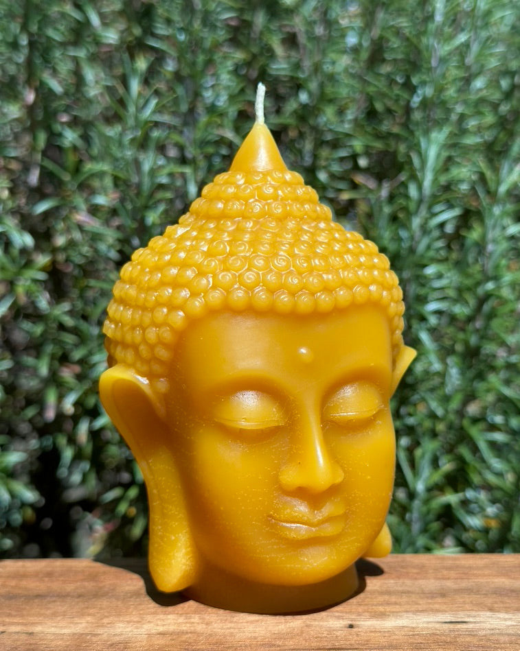 Buddha Head