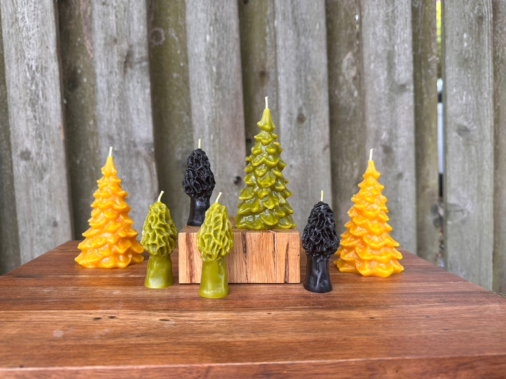 Beeswax Fir Tree Candle