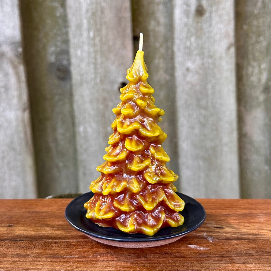 Beeswax Fir Tree Candle