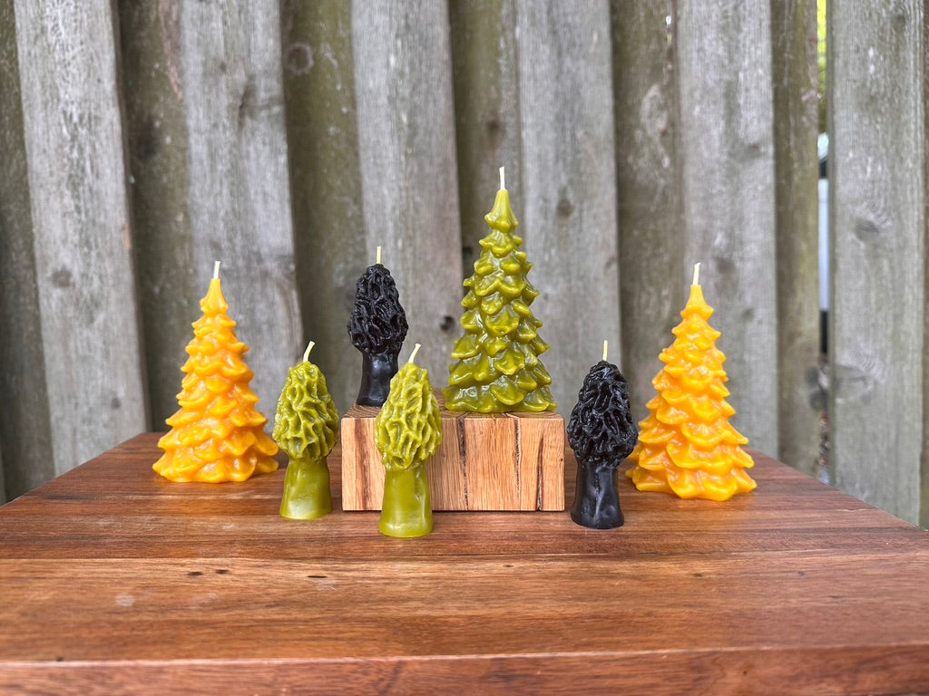 Beeswax Mini Morel Candle