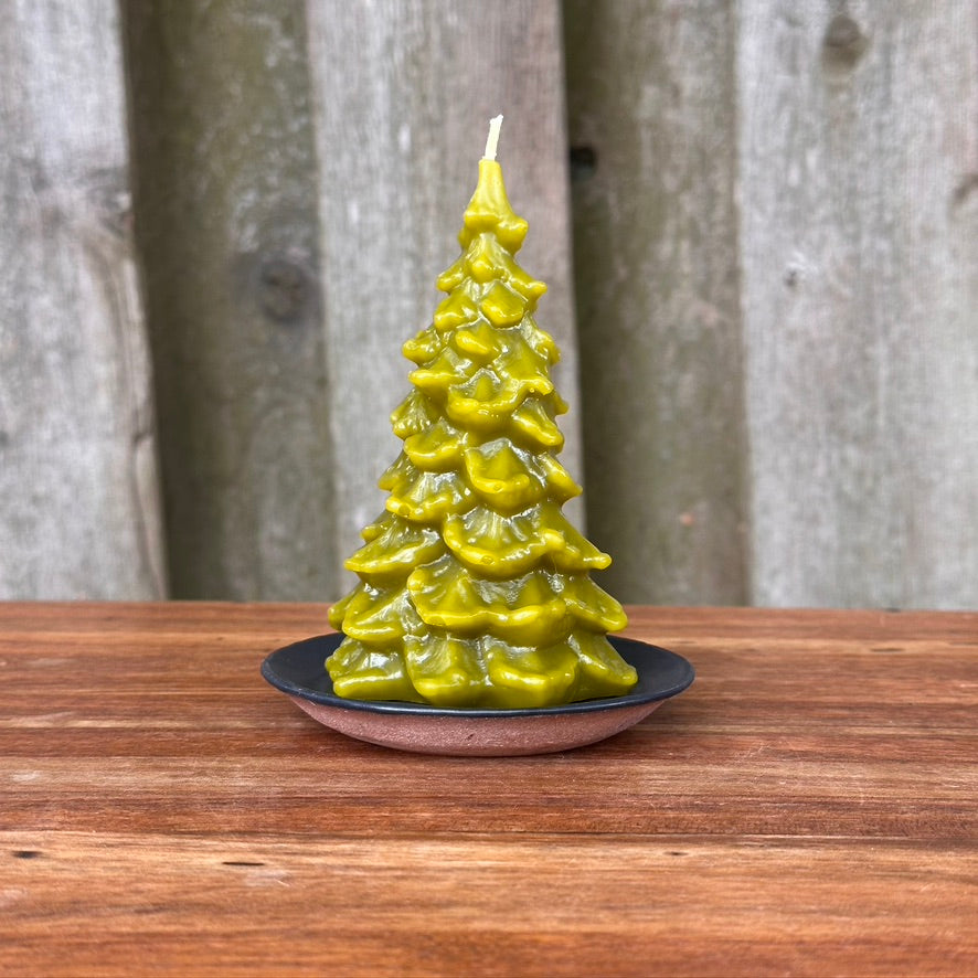 Beeswax Fir Tree Candle