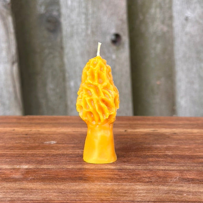 Beeswax Mini Morel Candle