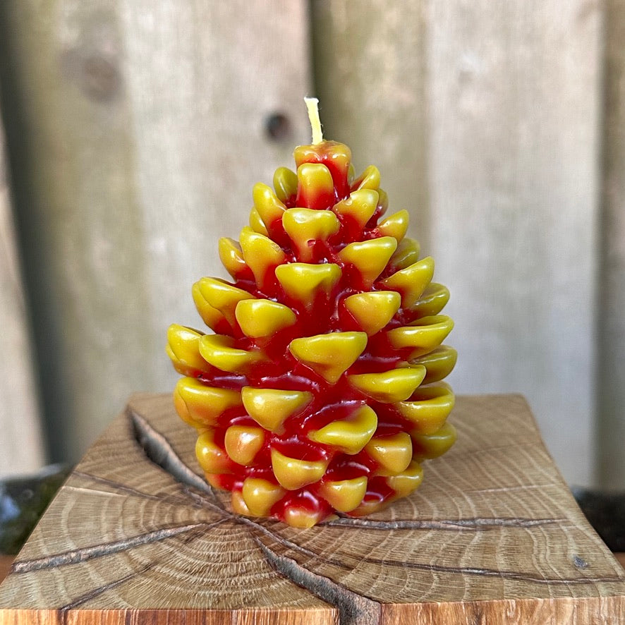 Two-Tone Pinecone Candle