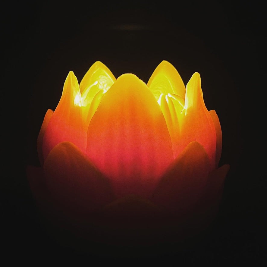 Lotus Flower